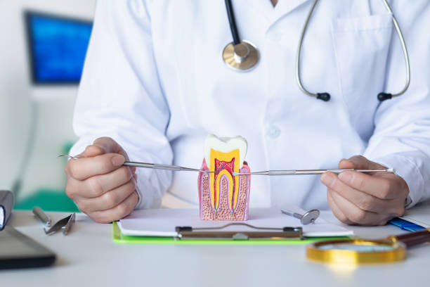 Best Emergency Treatment for Dental Infections or Abscesses in Rosanky, TX